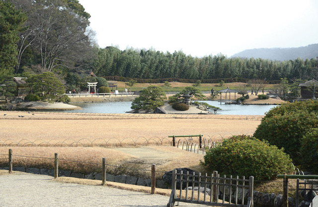 会場から眺める後楽園庭園